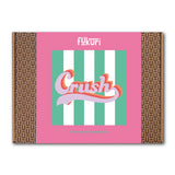 Boite du kit canevas Crush de Fukuri et son motif pop sur fond rayé